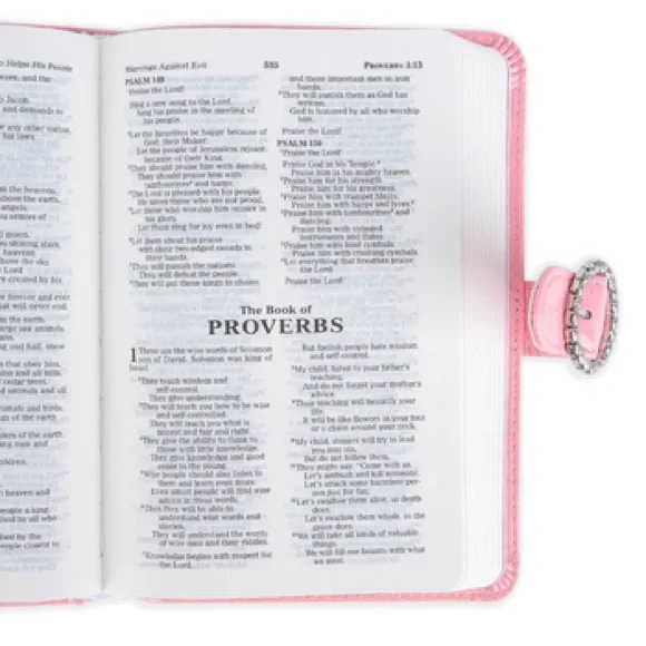 Pink Princess Children’s Holy Bible - Picture 4 of 4
